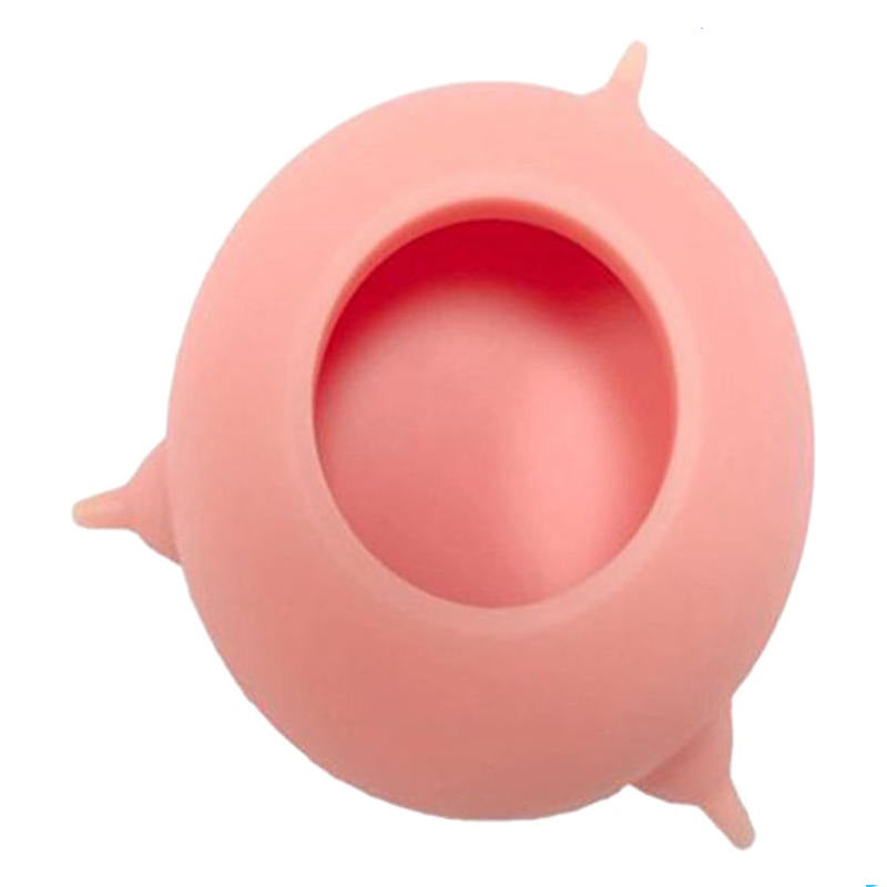 Silicone Pet Nursing Bottle & Milk Feeder