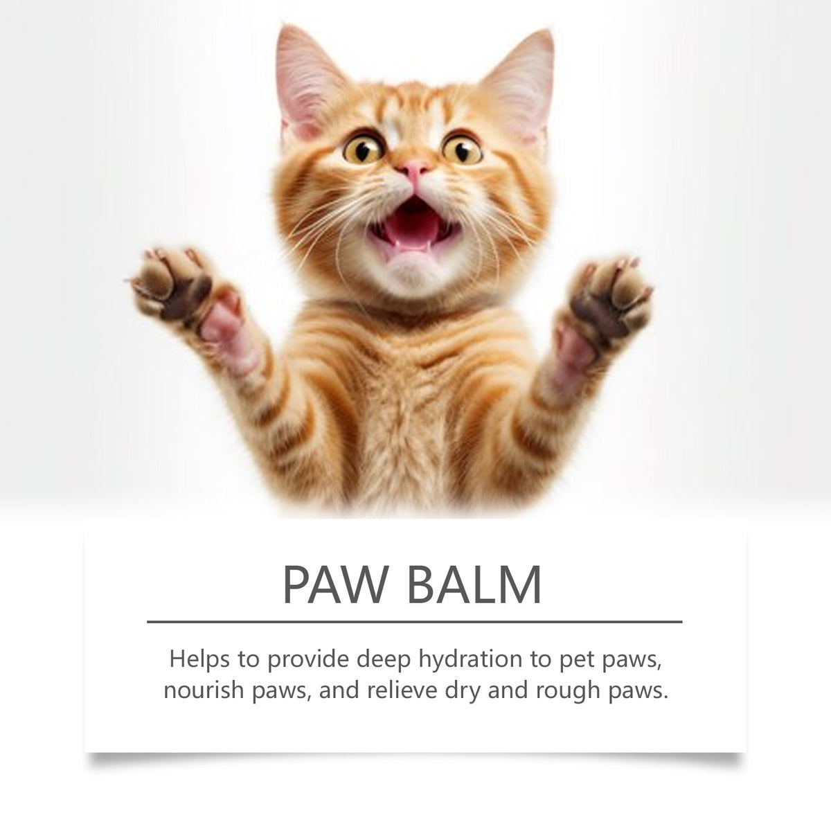 Pet Paw Moisturizing Cream Stick