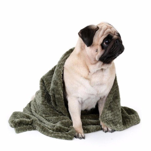 Warm Pet Blanket