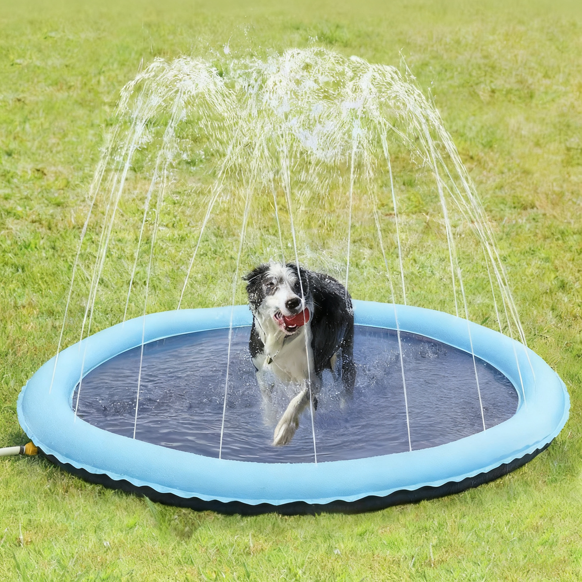 Pet Play Water Spray Mat