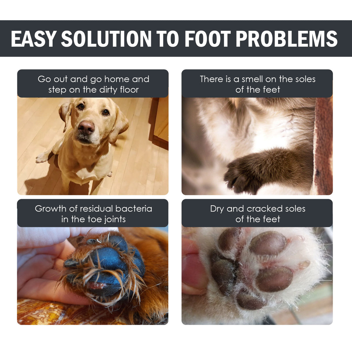 Pet Paw Cleaning Foot Care Cleaner