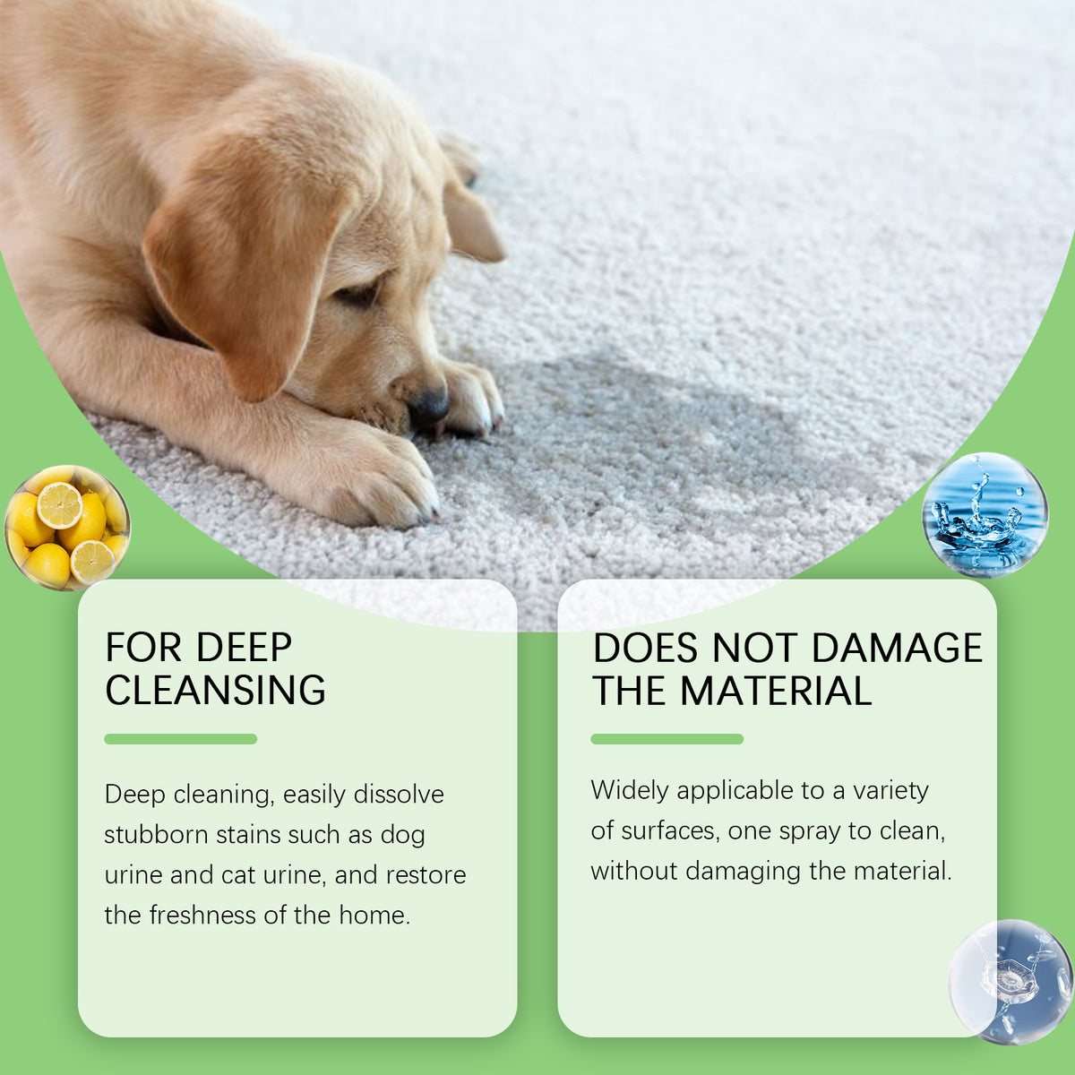 Pet Stain & Odor Remover Spray