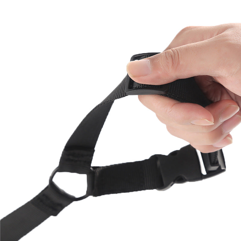 2-in-1 Dog Car Seat Belt & Leash