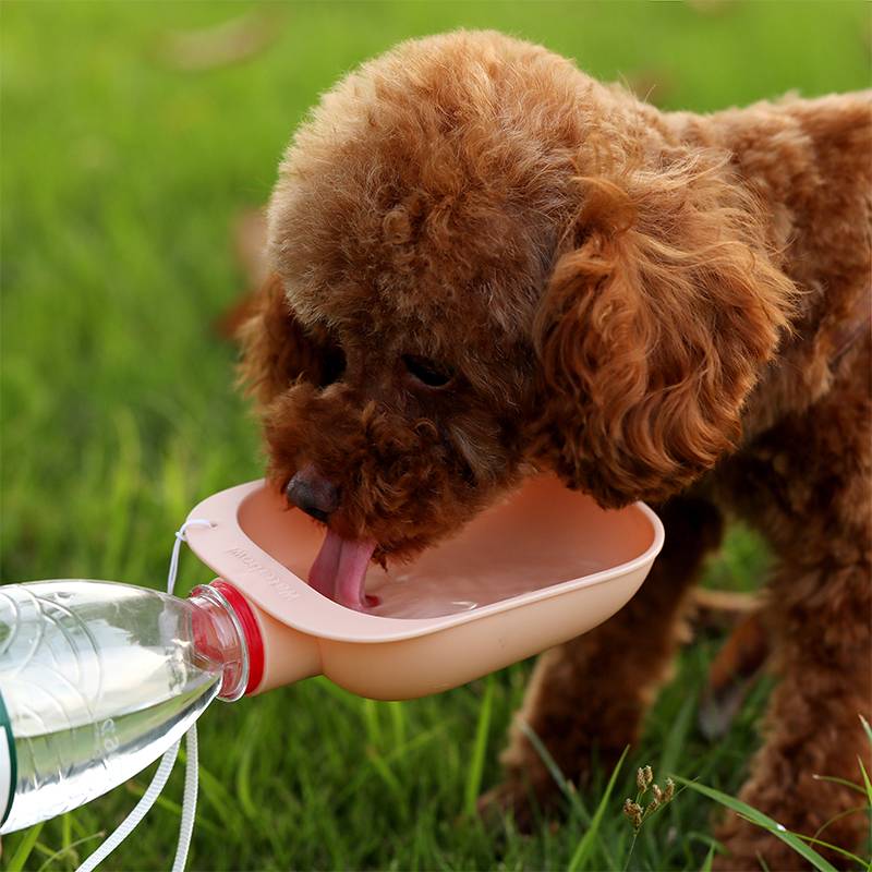 Portable Dog Travel Water Bottle with Bowl