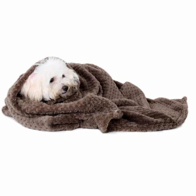 Warm Pet Blanket