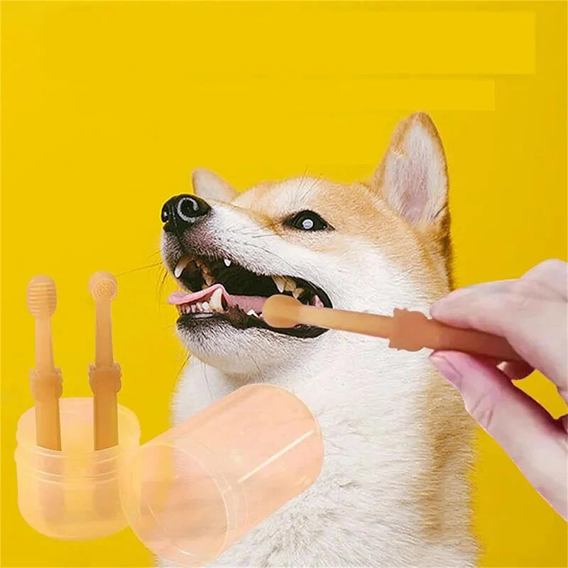 Dog & Cat Silicone Toothbrush Kit