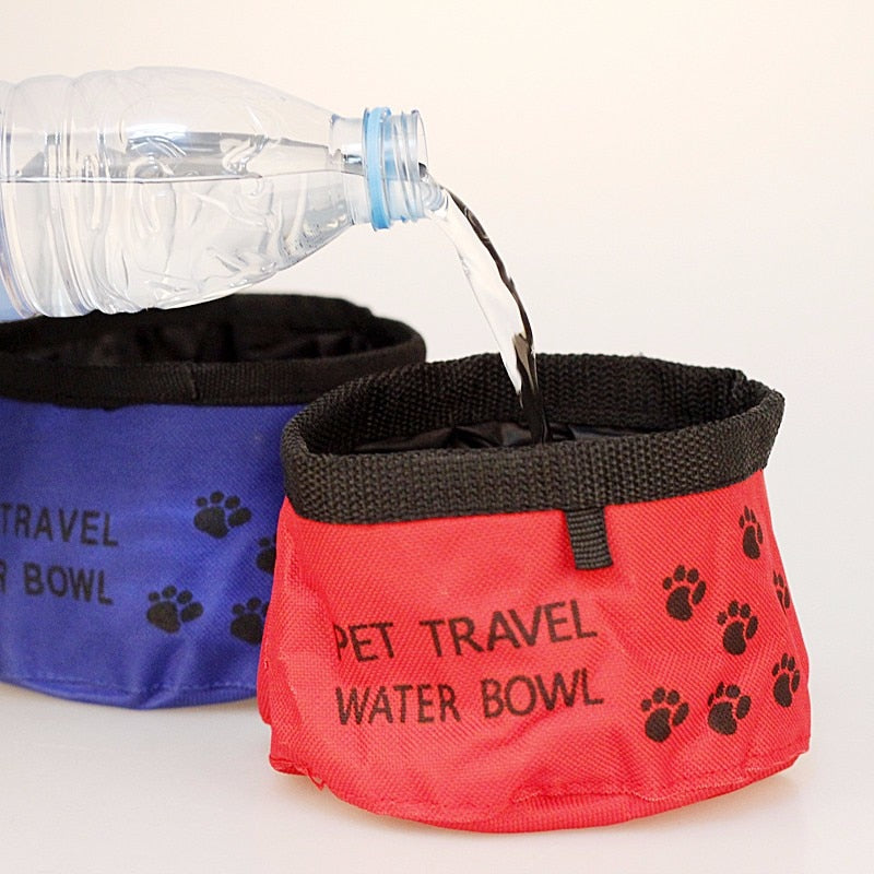 Foldable Canvas Pet Travel Bowl & Water Bottle