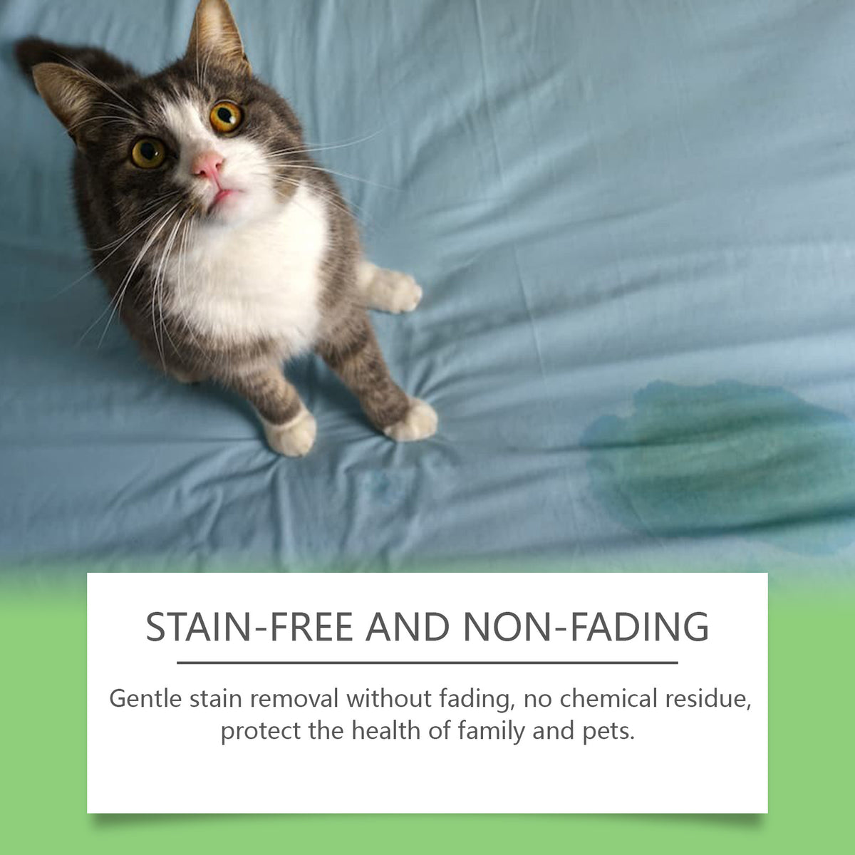 Pet Stain & Odor Remover Spray