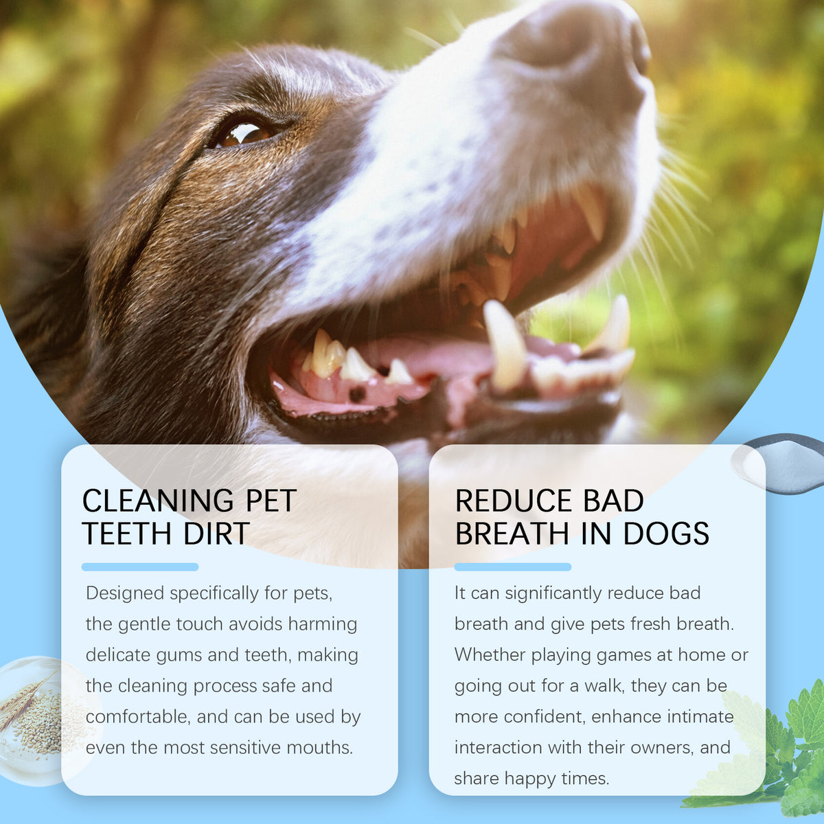 Pet Teeth Cleaning Pen