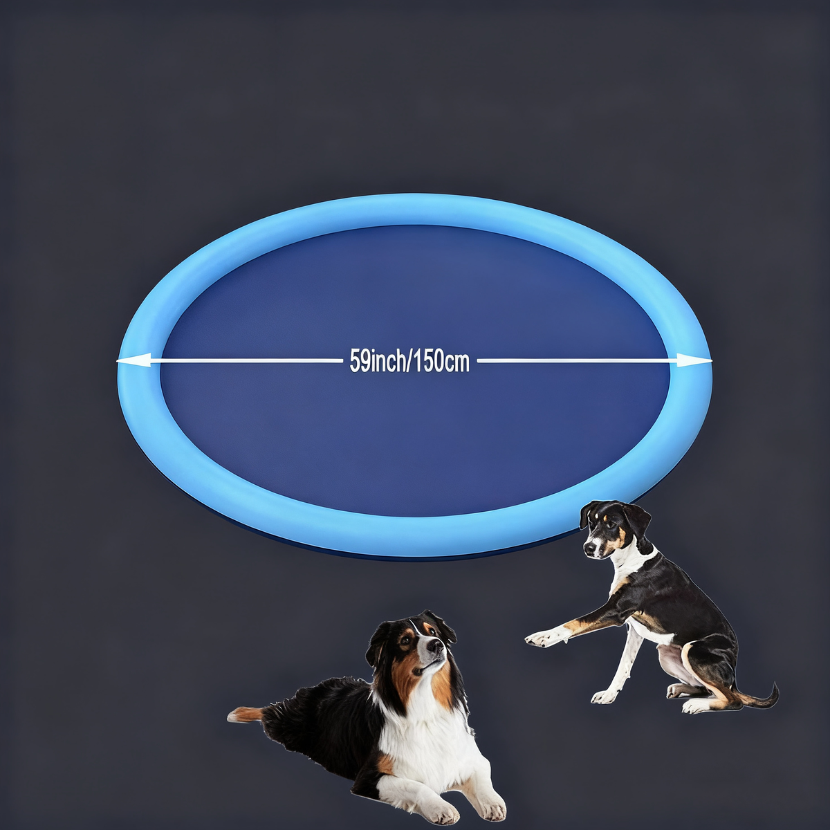 Pet Play Water Spray Mat